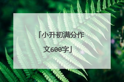 小升初满分作文600字