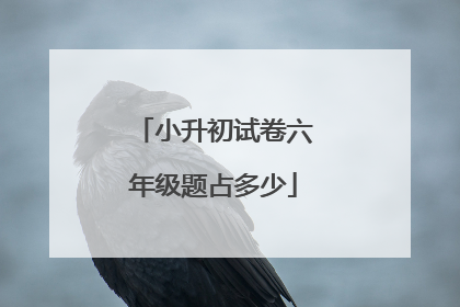 小升初试卷六年级题占多少