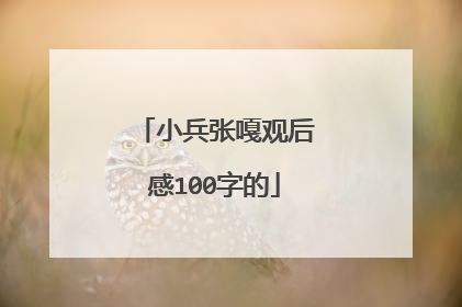 小兵张嘎观后感100字的