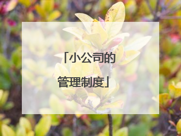 小公司的管理制度