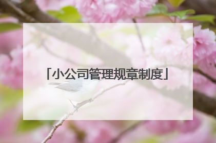 小公司管理规章制度