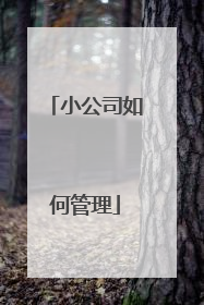 小公司如何管理