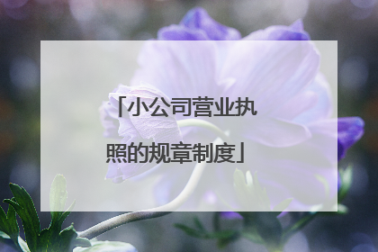 小公司营业执照的规章制度
