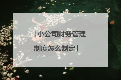 小公司财务管理制度怎么制定