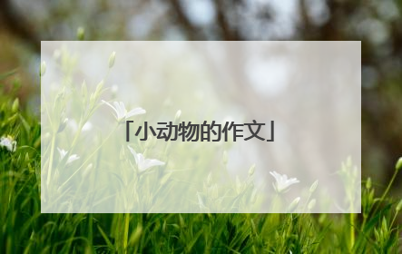 小动物的作文