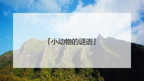 小动物的谜语
