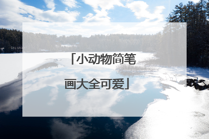 小动物简笔画大全可爱