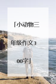 小动物三年级作文300字
