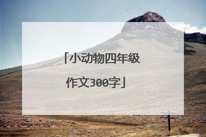小动物四年级作文300字