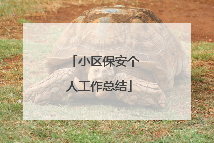 小区保安个人工作总结