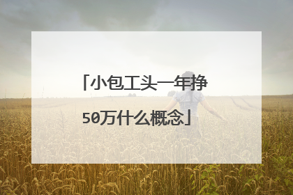 小包工头一年挣50万什么概念