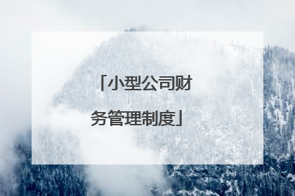 小型公司财务管理制度