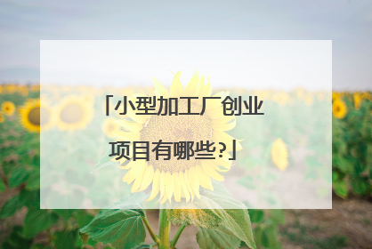 小型加工厂创业项目有哪些?