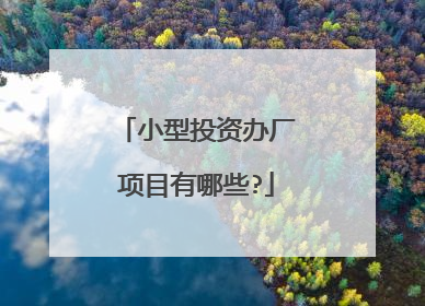 小型投资办厂项目有哪些?