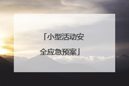 小型活动安全应急预案