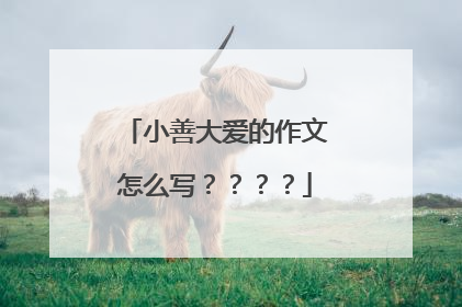 小善大爱的作文怎么写????