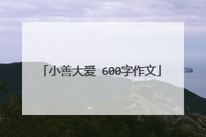 小善大爱 600字作文