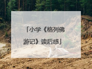 小学《格列佛游记》读后感