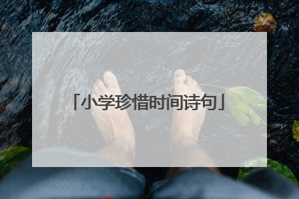 小学珍惜时间诗句