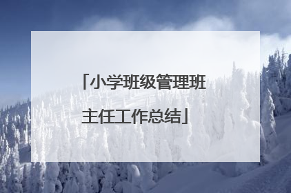 小学班级管理班主任工作总结