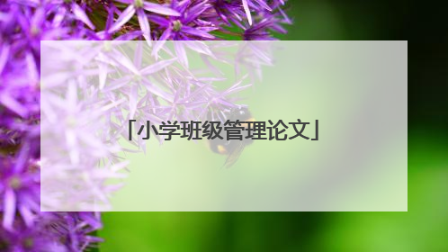 小学班级管理论文