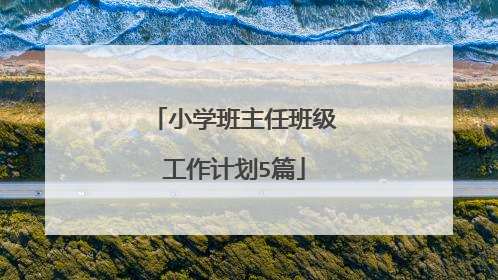 小学班主任班级工作计划5篇
