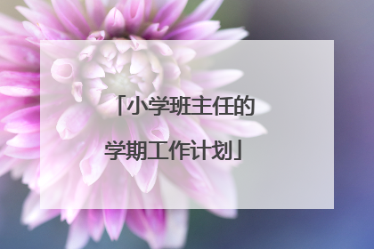 小学班主任的学期工作计划