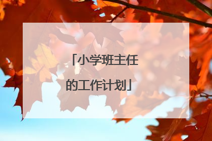 小学班主任的工作计划