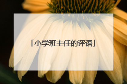 小学班主任的评语