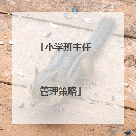 小学班主任管理策略