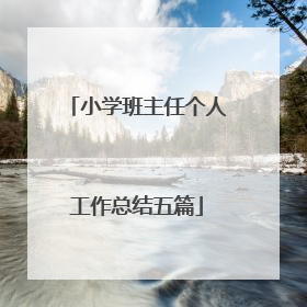 小学班主任个人工作总结五篇