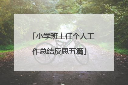 小学班主任个人工作总结反思五篇