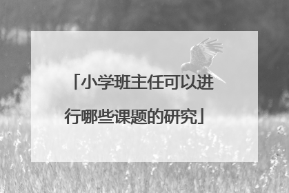 小学班主任可以进行哪些课题的研究