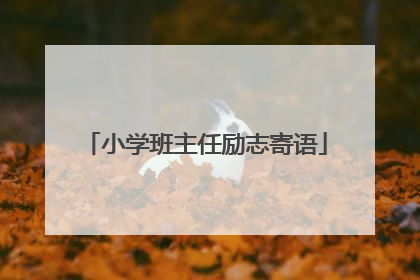 小学班主任励志寄语