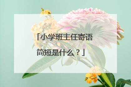 小学班主任寄语简短是什么？