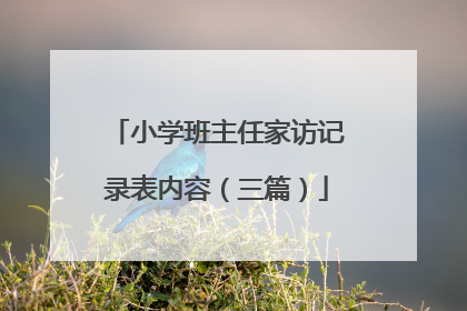 小学班主任家访记录表内容(三篇)