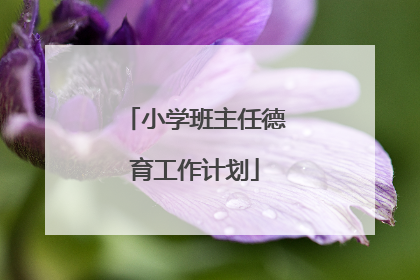 小学班主任德育工作计划