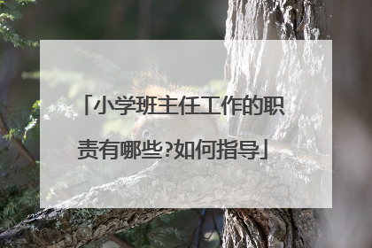 小学班主任工作的职责有哪些?如何指导