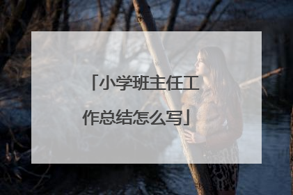 小学班主任工作总结怎么写