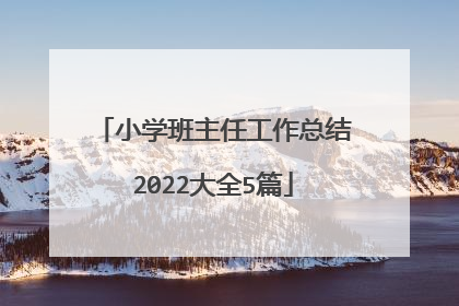 小学班主任工作总结2022大全5篇