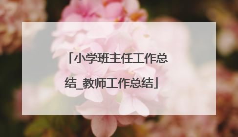 小学班主任工作总结_教师工作总结