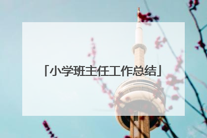 小学班主任工作总结