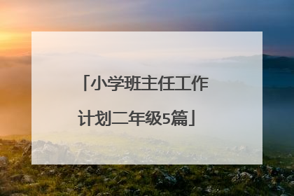 小学班主任工作计划二年级5篇