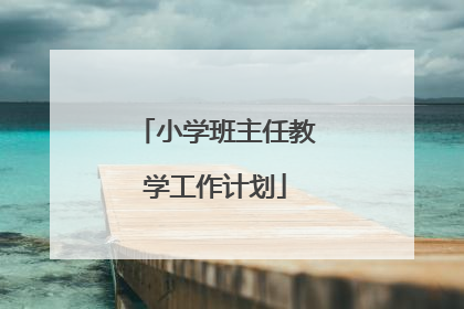 小学班主任教学工作计划