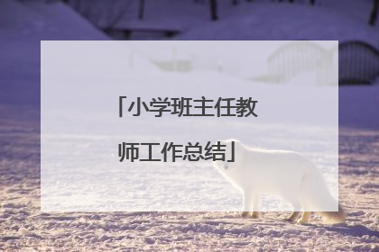 小学班主任教师工作总结