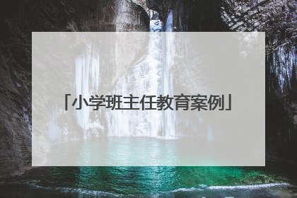 小学班主任教育案例