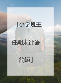 小学班主任期末评语简短