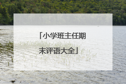 小学班主任期末评语大全