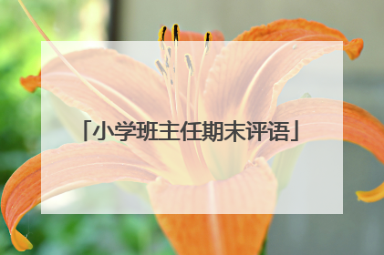 小学班主任期末评语