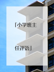 小学班主任评语